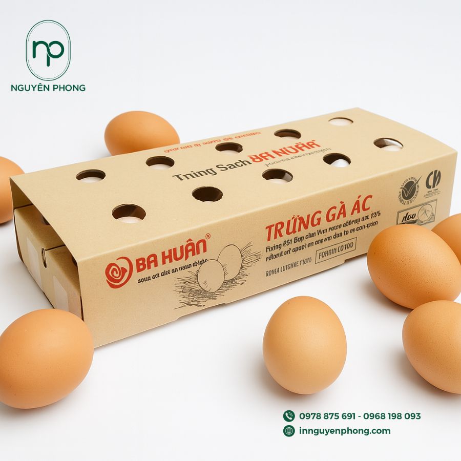 in-hop-carton-dung-trung-gia-re-tai-ha-noi